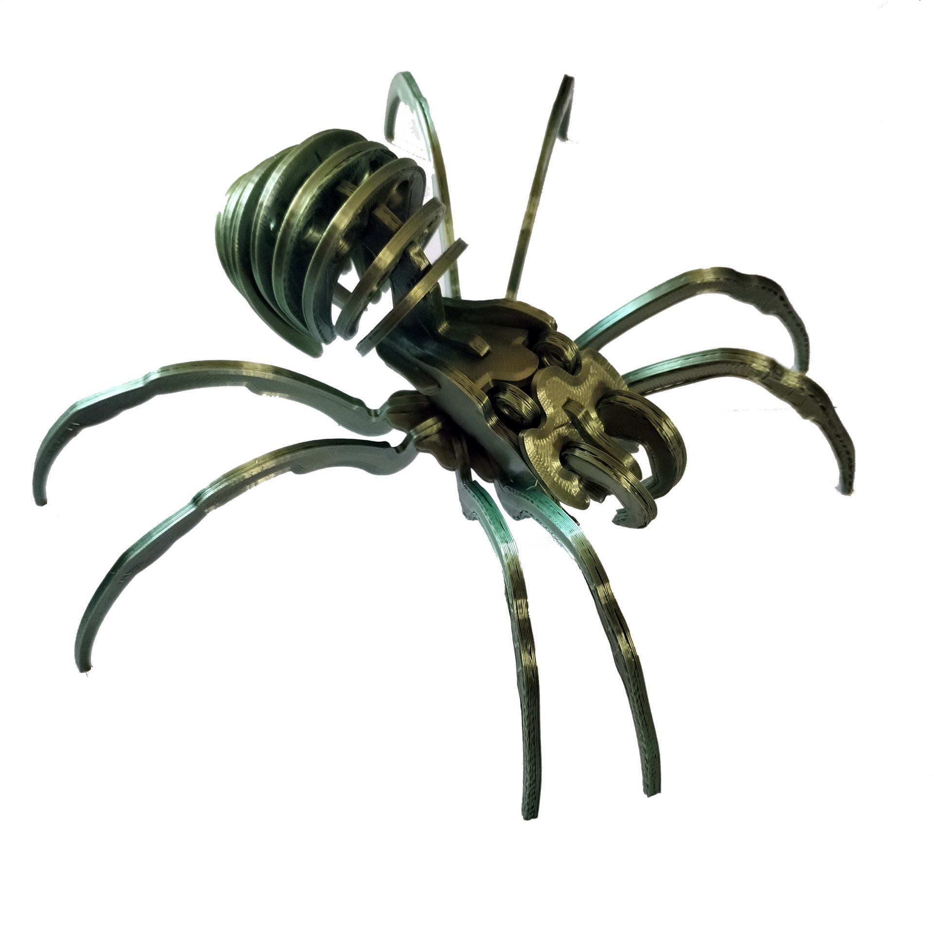 Araignée articulée à assembler